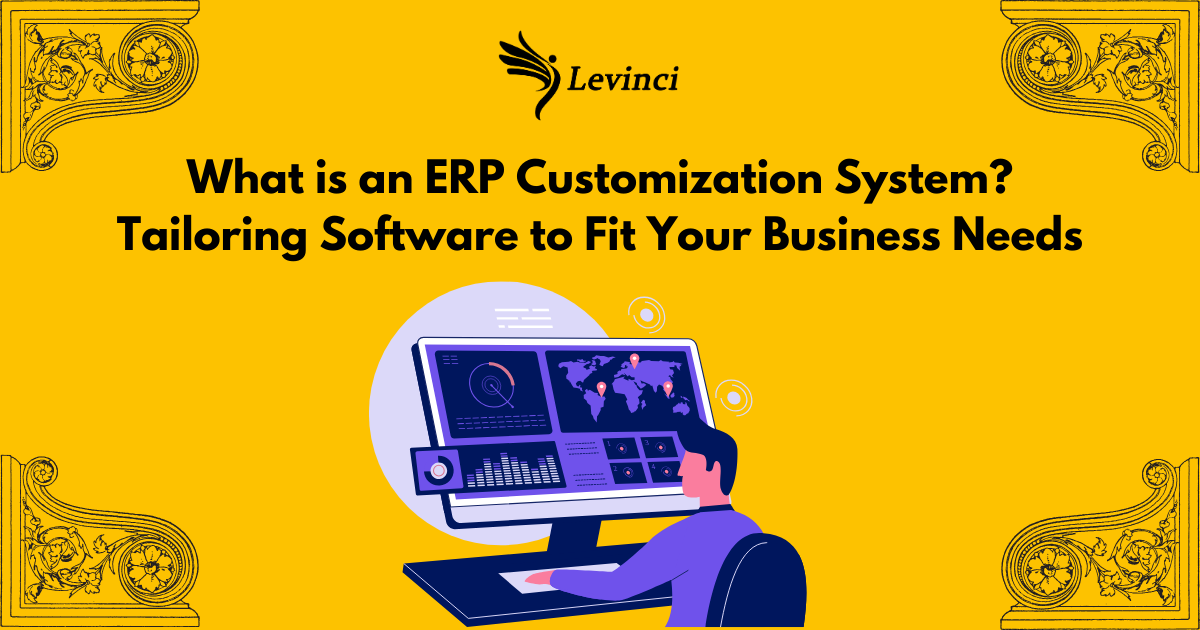 What is an ERP customization system.