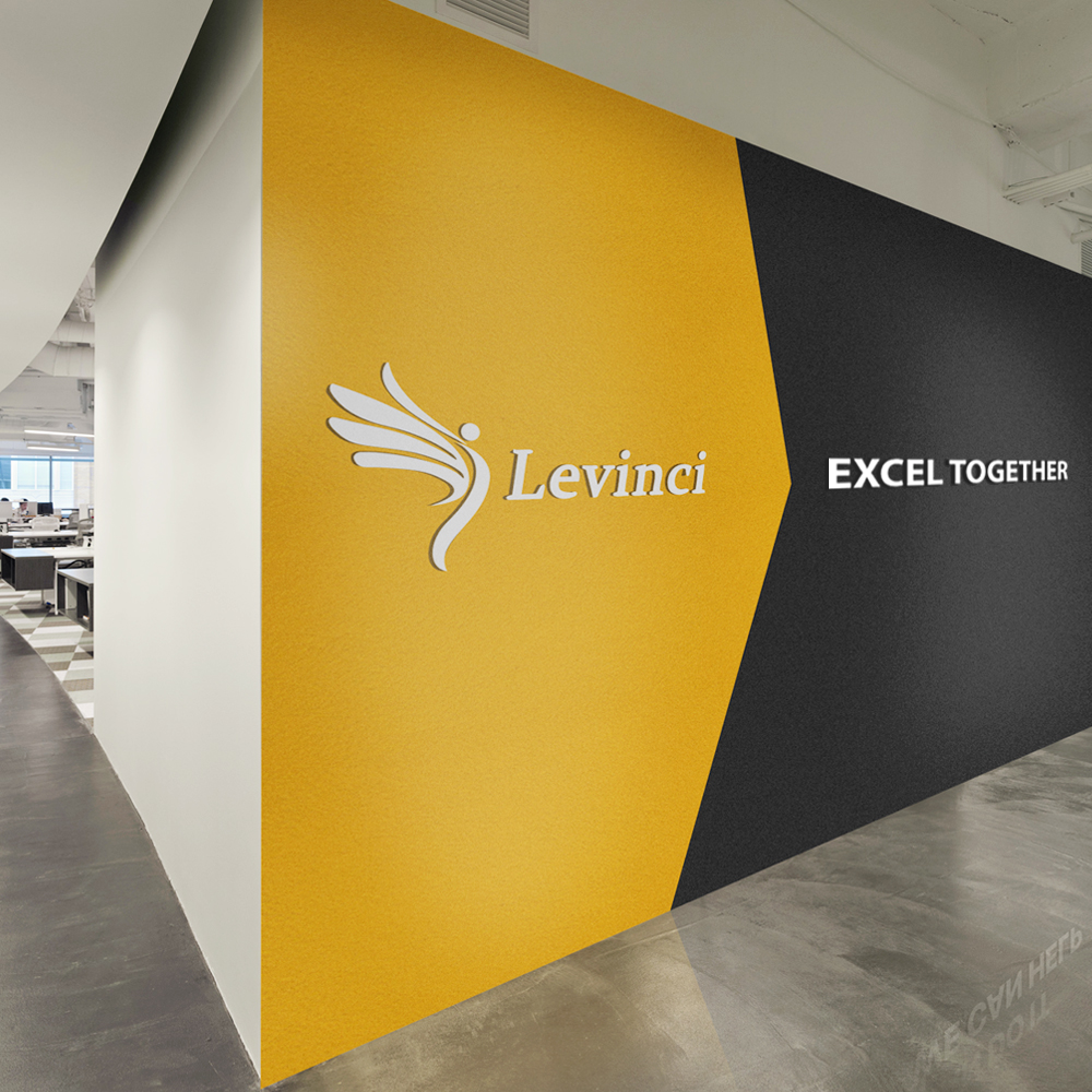 levinci - IT outsourcing company